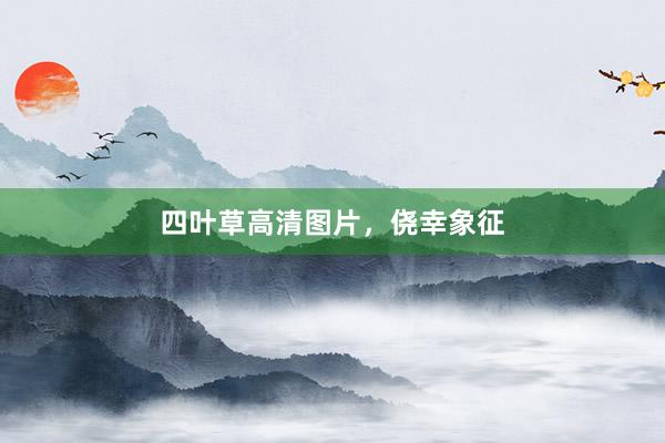 四叶草高清图片，侥幸象征